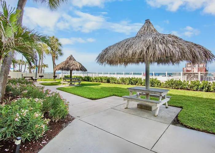 Dollar 102 Clearwater Beach
